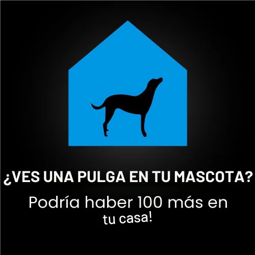 Vista 6 de NextStar Perros tópicos de pulgas y garrapatas pequeños, 7 vías, 1 mes