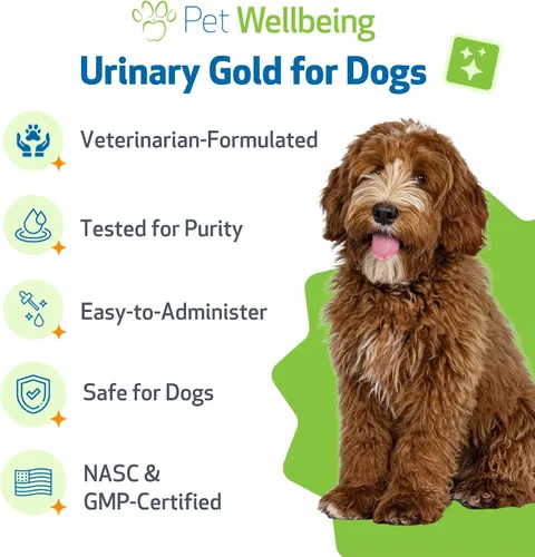 Vista 6 de Pet Wellbeing Oro urinario para perros – Formulado por veterinarios – Soporte para el tracto urinario con múltiples hierbas – Salud de la vejiga