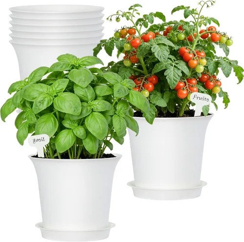 Vista 10 de Oliz Macetas de hierbas, 6 unidades, jardinera de ventana, macetas para plantas suculentas de cactus con bandejas, para decoración del hogar Blanco