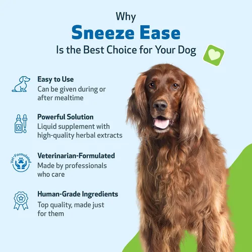 Vista 5 de Pet Wellbeing Estornudar para perros - Estornudos ocasionales, alergias estacionales, molestias de nariz y ojos, ojos y ortigas, suplemento