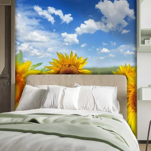 Vista 2 de Papel tapiz removible de girasol para despegar y pegar, decoración de pared, se adhiere a la pared, apto para inquilinos