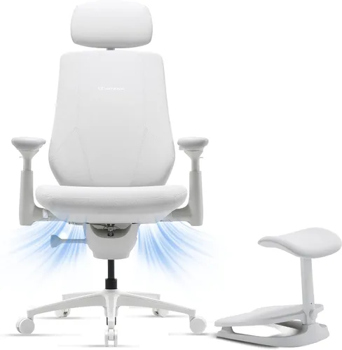 Vista 19 de LiberNovo Maxis Airflow - Silla de oficina ergonómica grande y alta