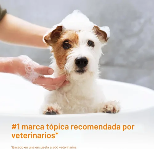 Vista 3 de Set Combo DOUXO S3 PYO - Champú (6.7 onzas) y Mousse (5.1 onzas)