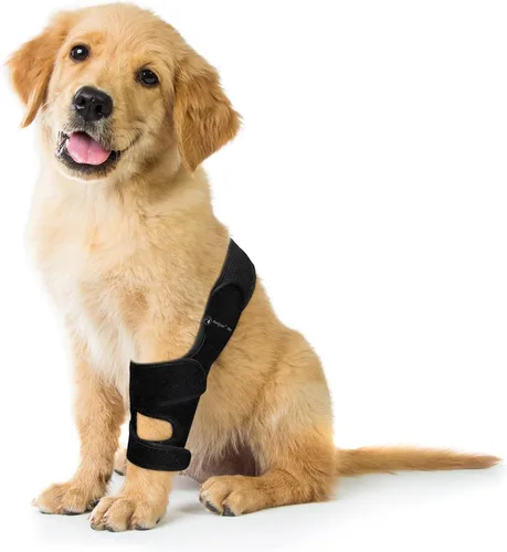 Vista 6 de Rodillera para perro para pierna trasera ACL/CCL, antilame, L/R