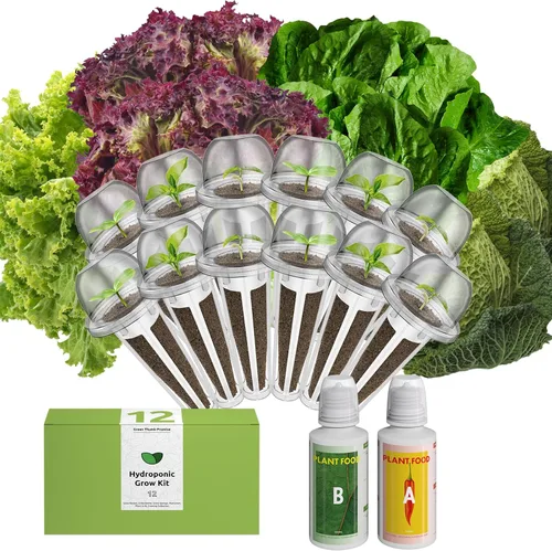 Vista 9 de inbloom Kit de vainas de semillas verdes para ensalada orgánica para AeroGarden, sistema de cultivo hidropónico Ahopegarden, alimento bajo
