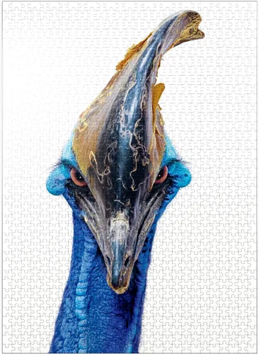 Vista 8 de MyPuzzle Cassowary - Rompecabezas prémium de 100 piezas, fabricado en Estados Unidos