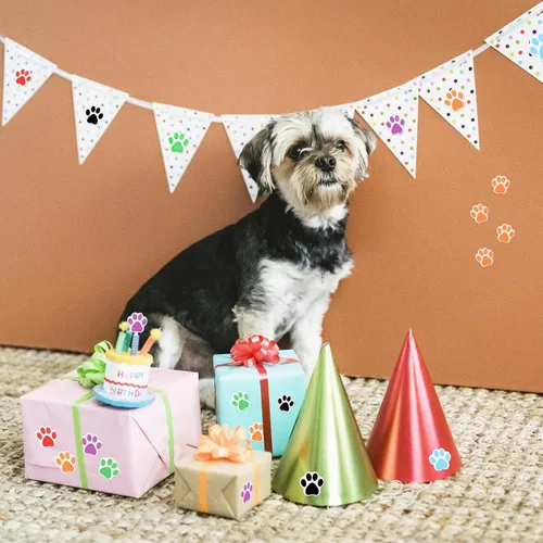 Vista 6 de 500 calcomanías coloridas con estampado de patas, calcomanías autoadhesivas de pata de perro de 1 pulgada 6 Colors for Kids Crafts, Student