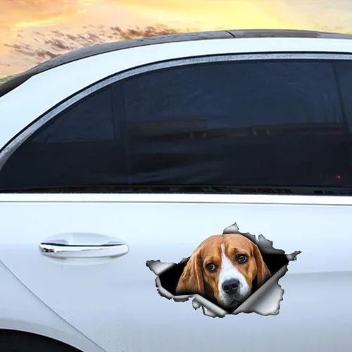 Vista 6 de Calcomanía de vinilo 3D para auto con diseño de beagle, calcomanías impermeables para auto con diseño de perro, decoración con diseño de animales