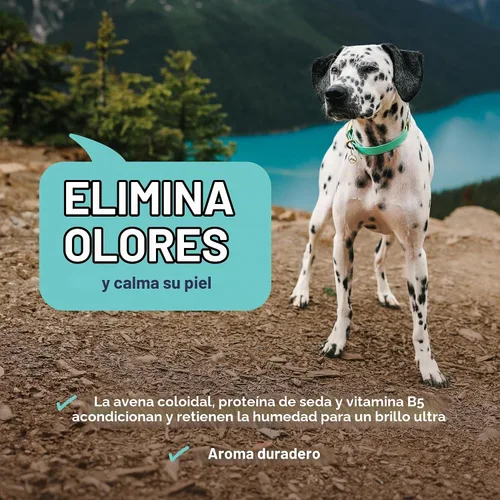 Vista 4 de Veterinary Formula Smart Coat Complex - Champú de avena calmante y desodorizante para perros, 17 onzas líquidas, bicarbonato de sodio elimina