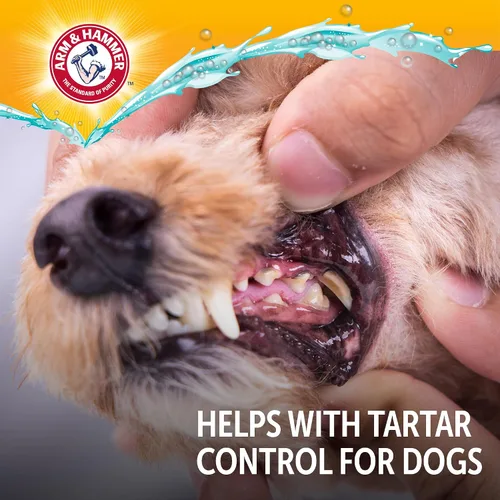 Vista 8 de Arm & Hammer Complete Care - Aerosol dental para perros, sabor a menta, refrescante de aliento para perros fácil sin cepillado, fórmula mejorada