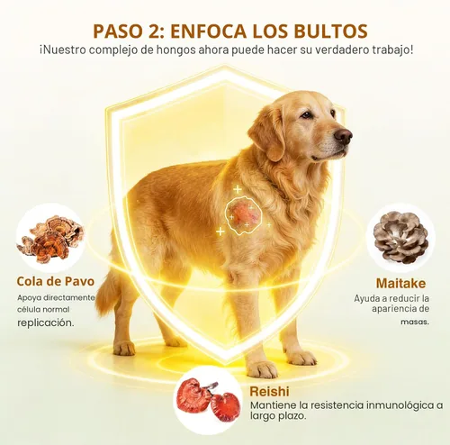 Vista 4 de Hongo de cola de pavo para perros, suplemento para perros mayores para grumos, protuberancias y lipoma, masticables suaves con Reishi, Maitake