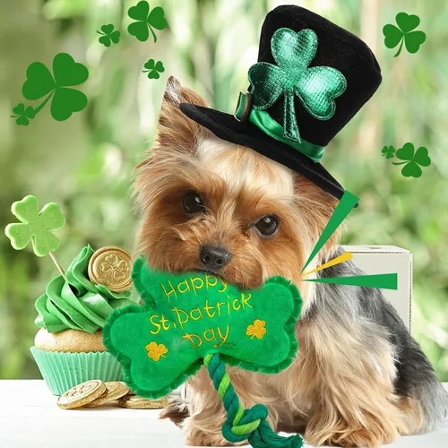 Vista 3 de Juguete para perros del día de San Patricio, juguetes chirriantes para perros con cuerda, juguetes de peluche de trébol de trébol, regalos del día