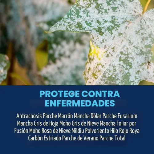Vista 2 de BioAdvanced Control de Hongos para Césped en Gránulos, 10 libras