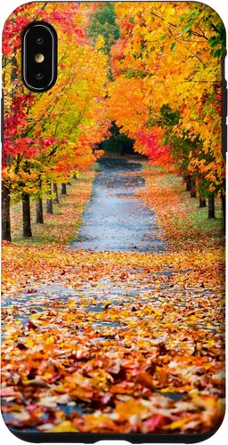 Vista 10 de iPhone 11 Otoño Hojas - Hermoso estuche de arboles