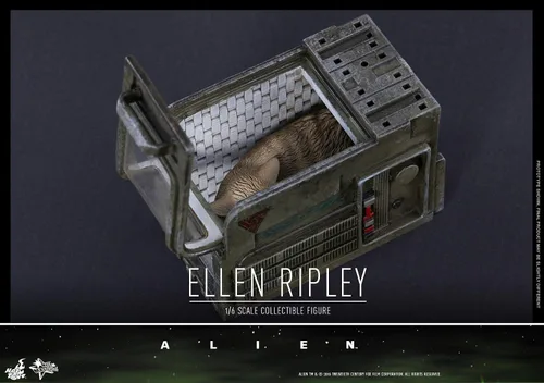 Vista 6 de Hot Toys 1979 Alien Ellen Ripley Sigourney Weaver Figura escala 1/6