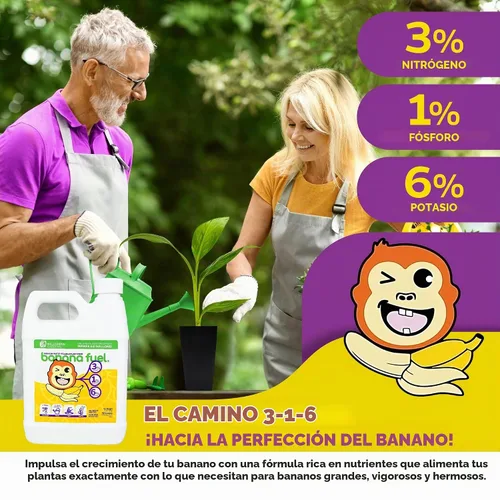 Vista 4 de Fertilizante líquido de combustible de plátano de Wellspring Gardens