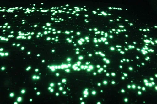 Vista 5 de StarMaker Extreme FX - Pintura reactiva a los rayos UV invisible de cristal grande que brilla en la oscuridad (verde)