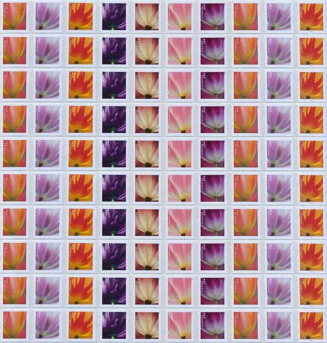 Vista 11 de USPS 2023 Tulip Blossom Forever - Sellos postales de primera clase (20 unidades)