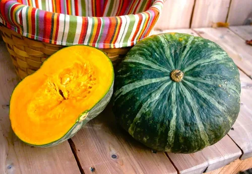 Vista 5 de TomorrowSeeds - Semillas de calabaza Kabocha - Más de 20 unidades - para plantar calabaza japonesa verde Hokkaido Ebisu asiático Tetsukabuto