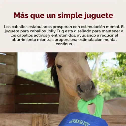 Vista 4 de Horsemen's Pride 14" Juguete Jolly Tug para caballo, azul (JT14 B), todos los tamaños de raza