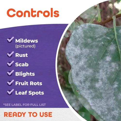 Vista 3 de Bonide Products 880 Fung-Onil fungicida, 16 oz. Control de enfermedades de las plantas, controla el tizón, controla el moho y más