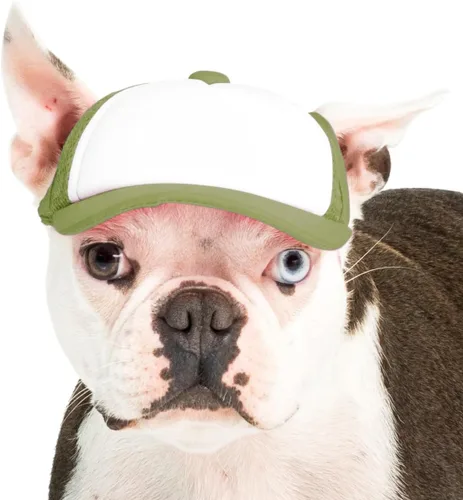 Vista 42 de DIY PupLid Trucker Hats (negro/blanco, XXS) - Sombrero de perro personalizable, lona en blanco para diseño personalizado, ajustable, protección