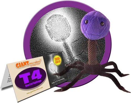 Vista 2 de Giant Microbes Juguete de peluche T4 (T4-Bacteriófago)