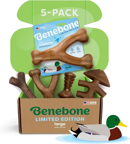 Vista 26 de Benebone - Paquete de 2 juguetes masticables duraderos para perros, diseño Maplestick/Zaggler, tocino real, madera de arce real, fabricados