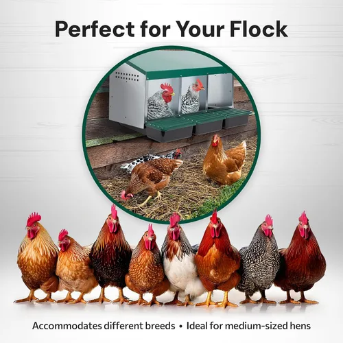 Vista 5 de Homestead Essentials Caja anidable de 3 compartimentos de estilo compacto, despliegue hacia adelante y Rollaway, gallina y pollo con tapas