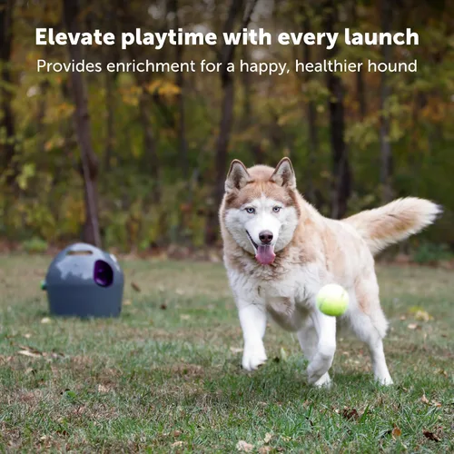 Vista 2 de PetSafe Lanzador Automático de Bolas - Juego Interactivo de Búsqueda - Entrenamiento de Búsqueda Sin Manos - Rango Ajustable - Incluye Bolas