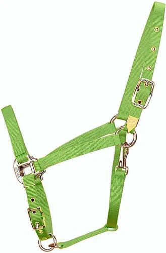Vista 18 de Hamilton, Halter de 1 pulgada con barbilla ajustable, azul baya, 800-1100 libras