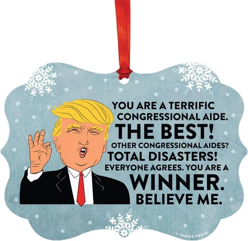 Vista 34 de Andaz Press Presidente Donald Trump Fancy Frame Recuerdo Adorno de Navidad Regalo de broma Ejecutivo de Cuenta, 1 paquete, Divertidas Ideas