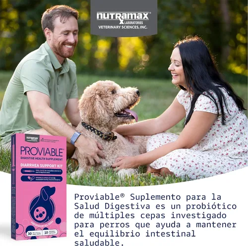 Vista 3 de Nutramax Proviable Probióticos para Perros, Kit de Apoyo para la Diarrea, Suplemento para la Salud Digestiva con Múltiples Cepas de Bacterias, Más