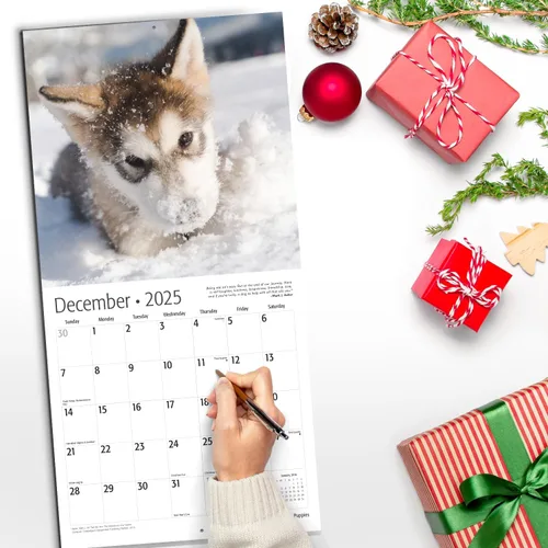 Vista 5 de RED EMBER Calendario de pared 2025 con diseño de cachorros de 12 meses, 12 x 24 pulgadas, abierto, papel grueso y resistente, para regalo