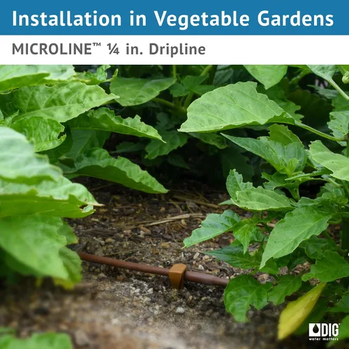 Vista 8 de DIG ML-112B ¼" 100' MICROLINE™ Dripline, 12" doble salida emisor espaciado, tubo resistente a los rayos UV para riego eficiente Ideal para camas
