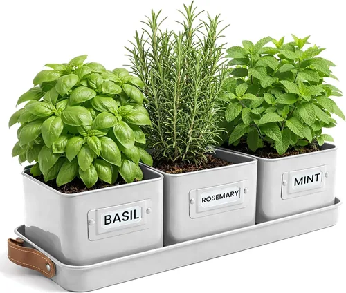Vista 9 de volila - Juego de 3 macetas para hierbas de interior, color negro, con bandeja con asa de cuero - Estante de plantas para alféizar de ventana