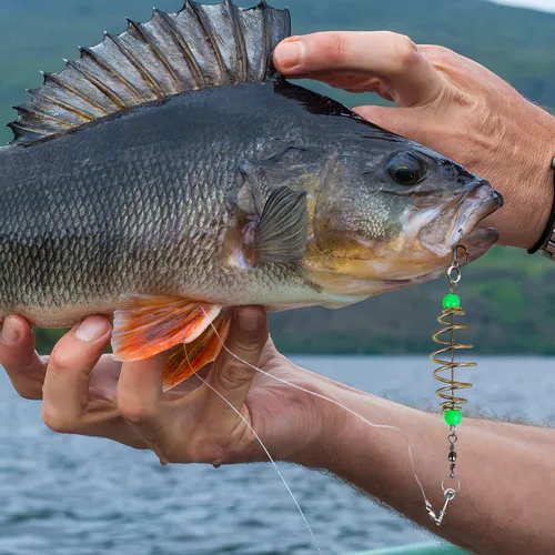 Vista 2 de Alimentador luminoso de pesca de carpa, lanzador de cebo, jaula de cebo, jaula de cebos de alimentador de pesca, señuelos jaula de canasta