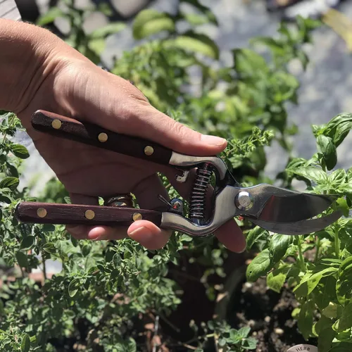 Vista 2 de Verve CULTURE - Tijeras de cocina tailandesas y tijeras de podar para jardinería, hechas a mano, multiusos, con cuchillas de acero inoxidable y asas