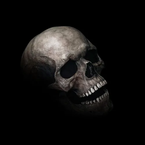 Vista 9 de Máscara de calavera de látex para adultos con mandíbula móvil