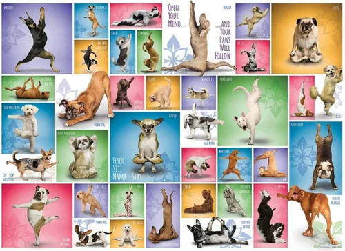 Vista 2 de Rompecabezas de 1000 piezas para perros de yoga