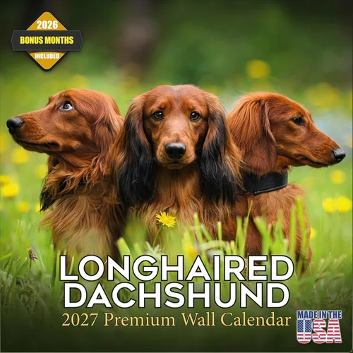 Vista 12 de Calendario de Lebrel Afgano 2025 2026, calendario mensual de pared de raza canina, 12" x 18" abierto, papel grueso sin traspaso, ideal para regalo