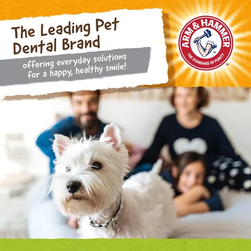 Vista 7 de Arm & Hammer for Pets Nubbies Duality Bone - Juguete dental para perros, el mejor juguete masticable para masticadores moderados, ayuda a reducir