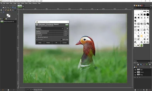 Vista 7 de GIMP Photo Editing Software + Office Suite 2026 on CD Photoshop & MS Office Alternative Compatible with Word, Excel, PowerPoint & Photoshop