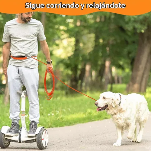 Vista 7 de [Usado] Correa de cable resistente para perros grandes
