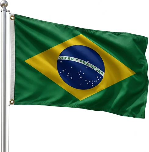 Vista 32 de DMSE - Bandera nacional beninesa beninesa de la República de África Occidental, 2 x 3 pies, 100 % poliéster, 100 % poliéster, resistente a los rayos