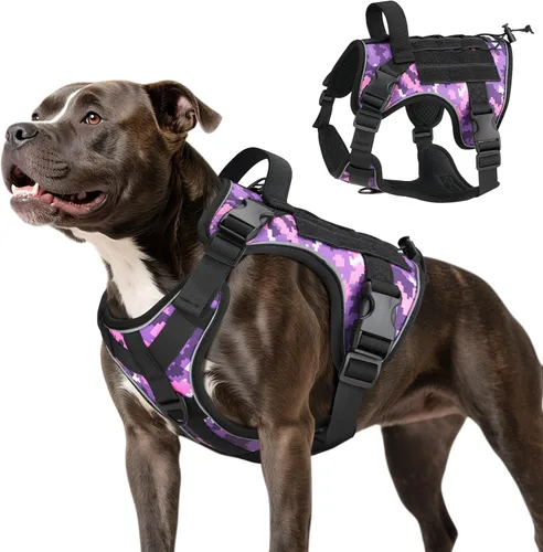Vista 31 de VavoPaw cinturón de seguridad para perro, arnés de coche con hebilla ajustable para perro, cinturón de seguridad de nailon para mascotas, resistente