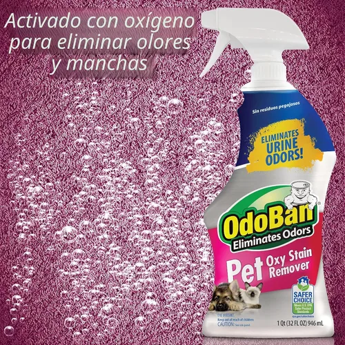 Vista 8 de OdoBan Pet Solutions Oxy - Removedor de manchas, fabricado en los Estados Unidos, paquete de 2, aerosoles de 32 onzas cada uno, y concentrado