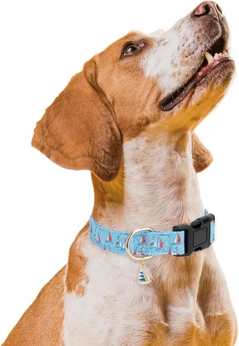 Vista 5 de Collares de perro personalizados, collares ajustables para cachorros con hebilla de seguridad para perros pequeños, medianos y grandes, collar