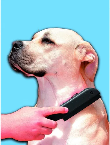 Vista 3 de Evriholder FURemover - Cepillo de depilación para mascotas, el color puede variar
