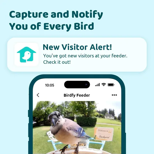 Vista 2 de NETVUE by Birdfy - Comedero inteligente para pájaros con cámara AI 2K, valor para principiantes Amarillo